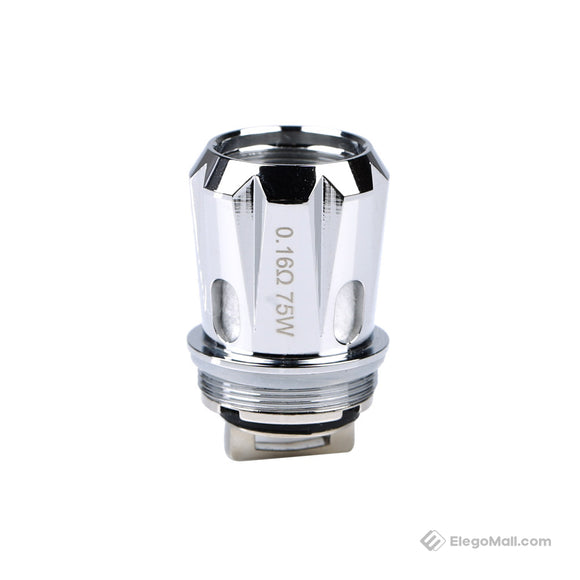 HORIZONTECH </P> FALCON / KING COIL (DSL)